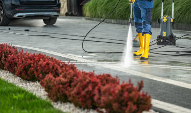 Professional Pressure Washing in Borrego Springs, CA